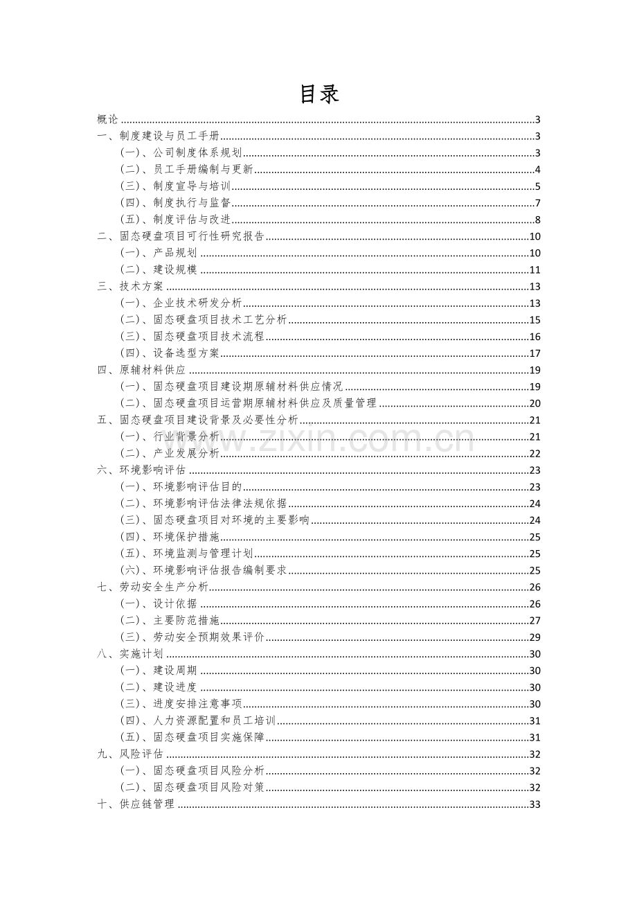 固态硬盘项目可行性研究报告.docx_第2页
