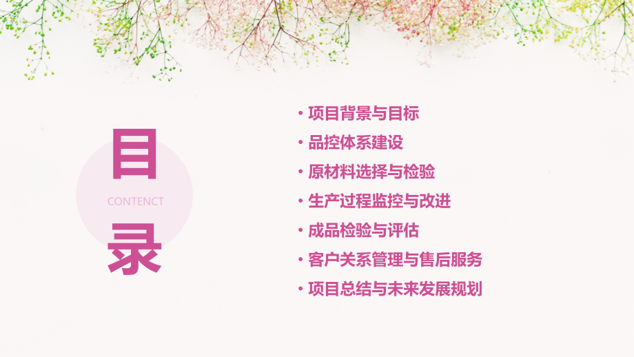 家具品控项目计划书.pptx_第2页