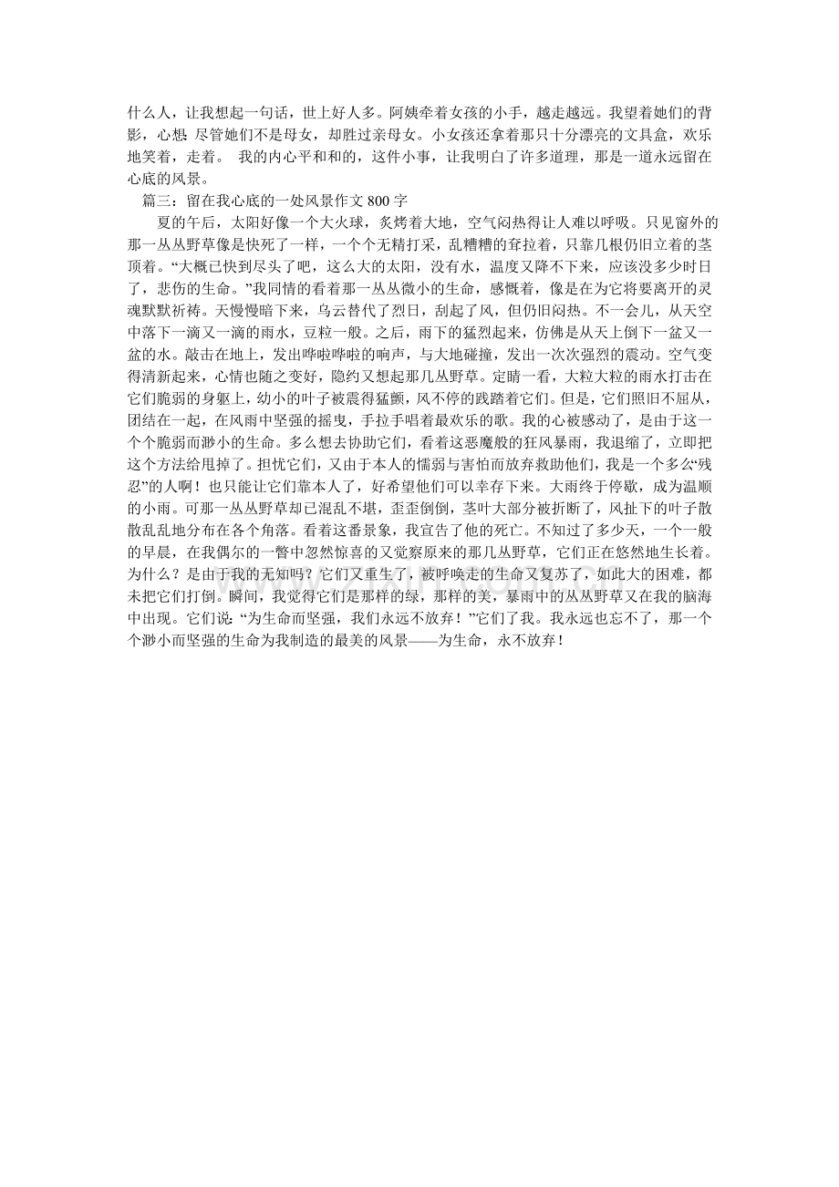 心中的美景作文800字.doc_第2页