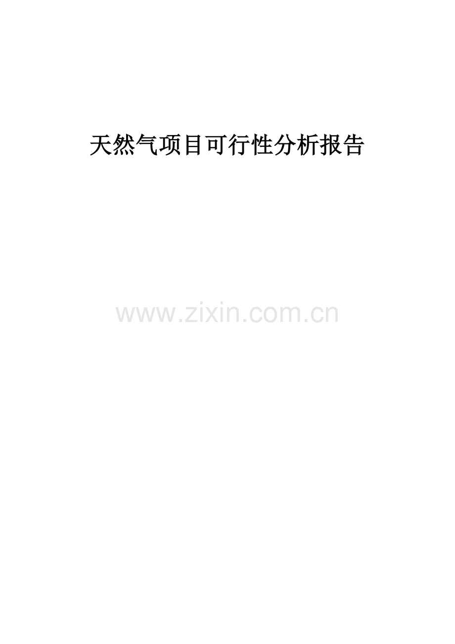 天然气项目可行性分析报告.docx_第1页