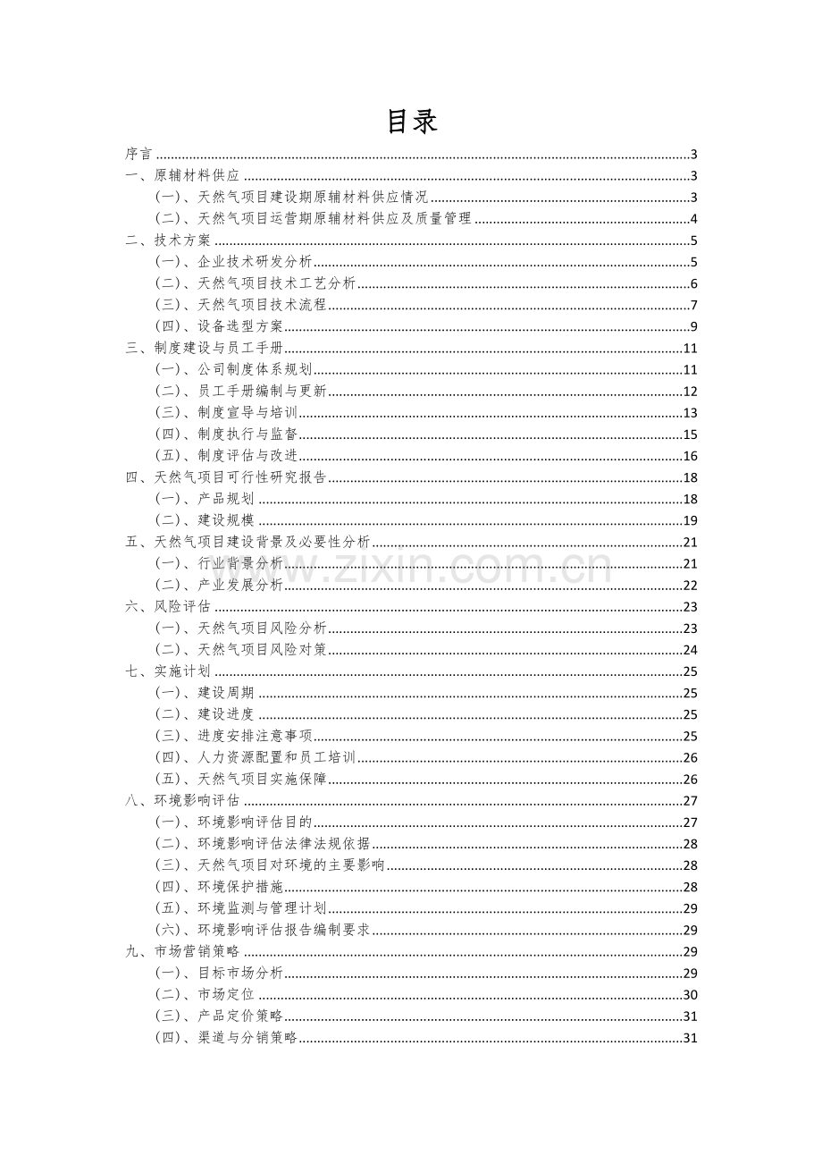 天然气项目可行性分析报告.docx_第2页