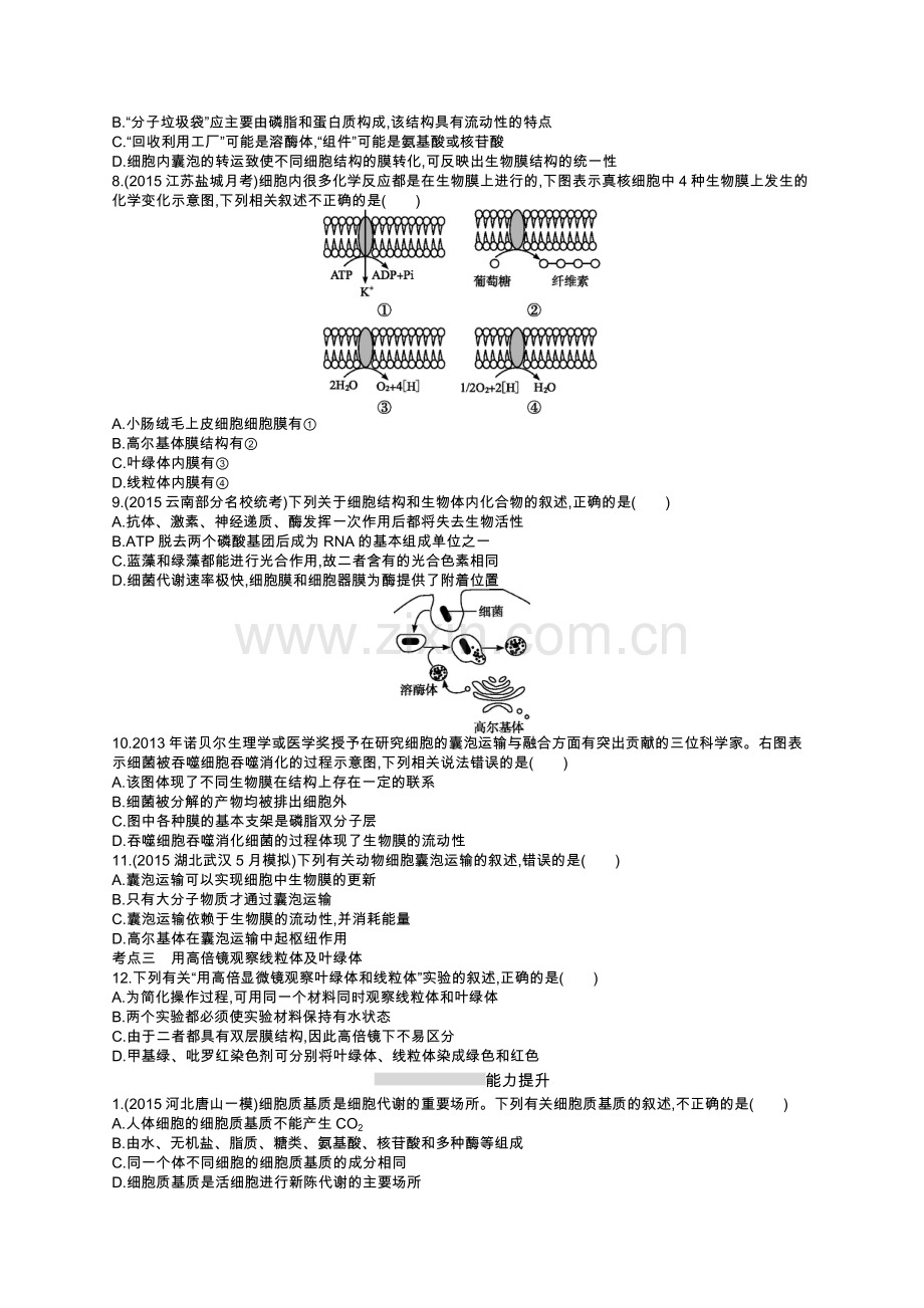 考点规范练5.docx_第2页