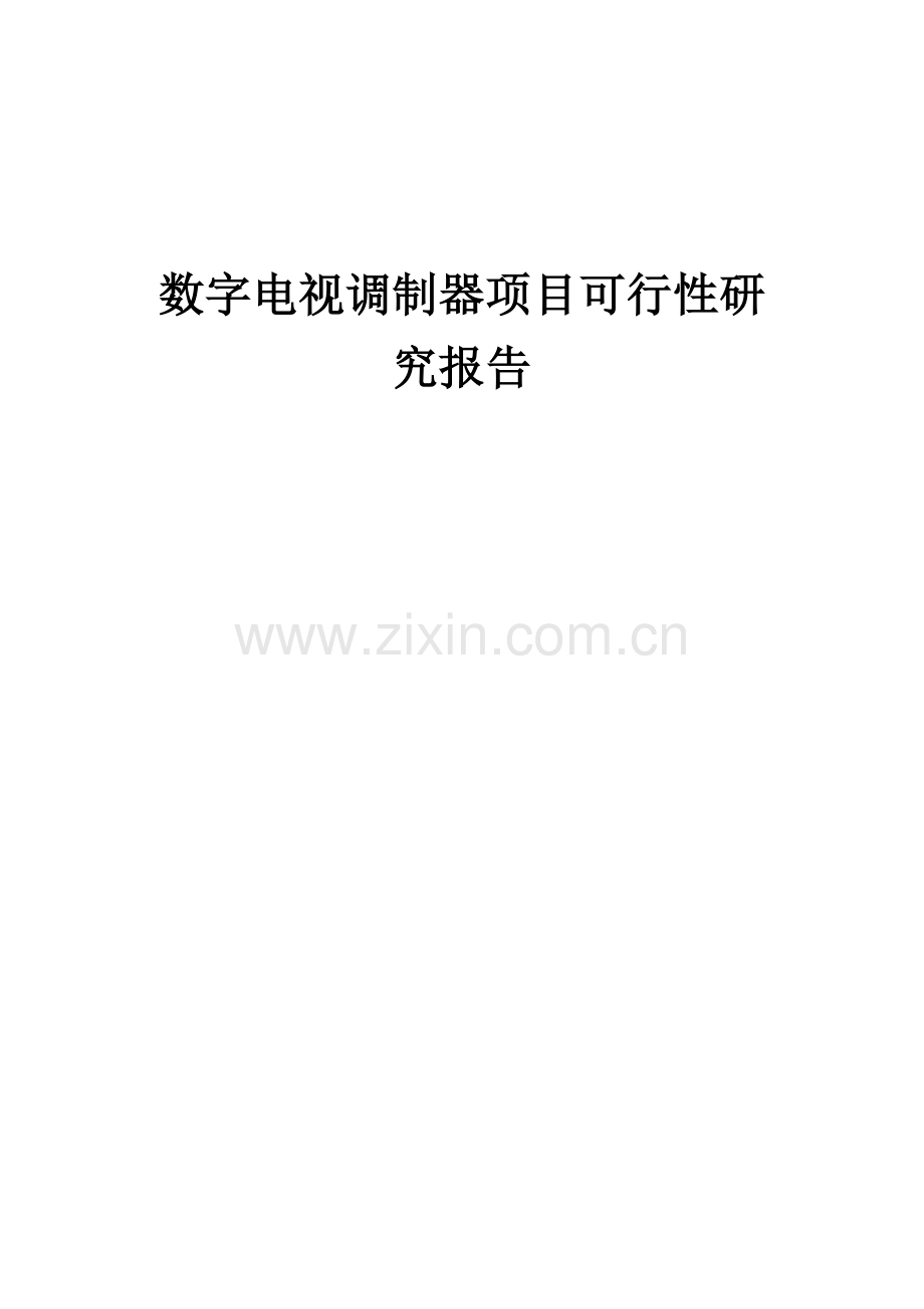 数字电视调制器项目可行性研究报告.docx_第1页