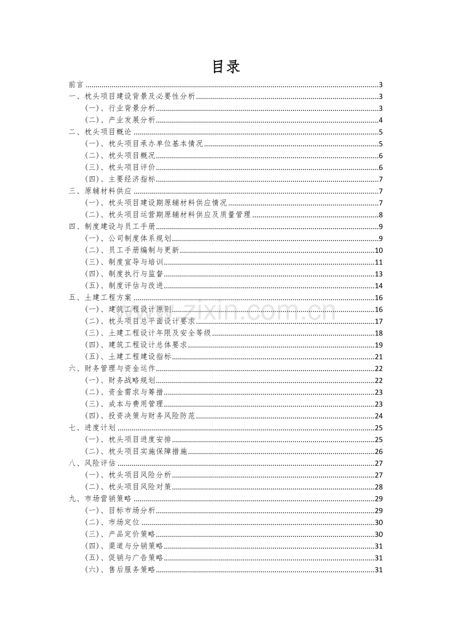 枕头项目可行性研究报告.docx_第2页