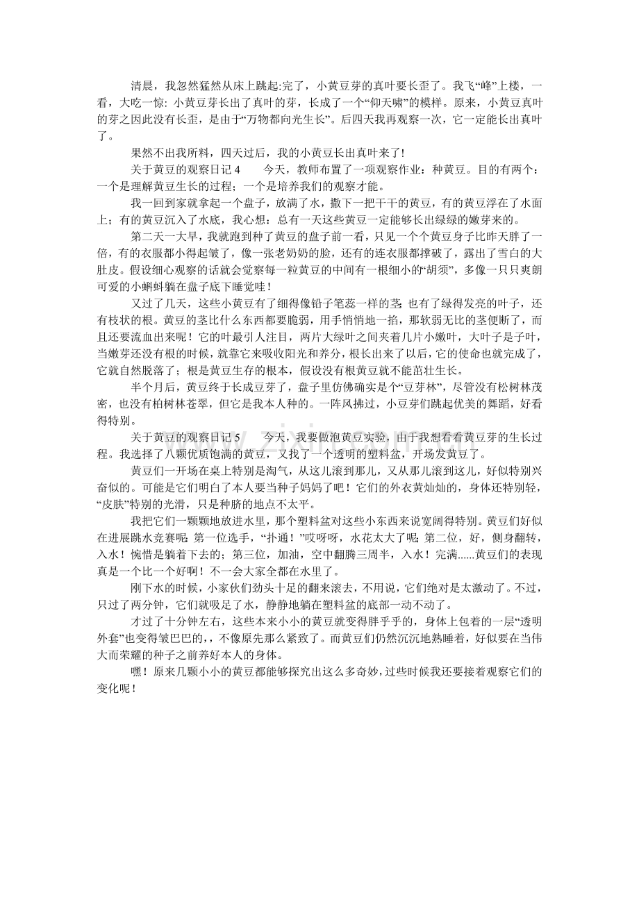 关于黄豆的观察日记5则.doc_第2页