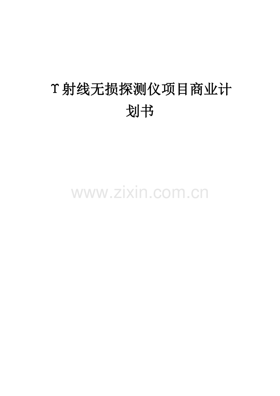 Υ射线无损探测仪项目商业计划书.docx_第1页
