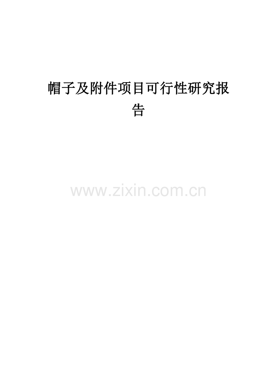 帽子及项目可行性研究报告.docx_第1页