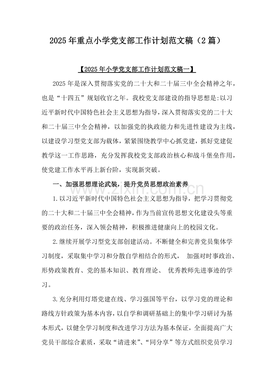 2025年重点小学党支部工作计划范文稿（2篇）.docx_第1页