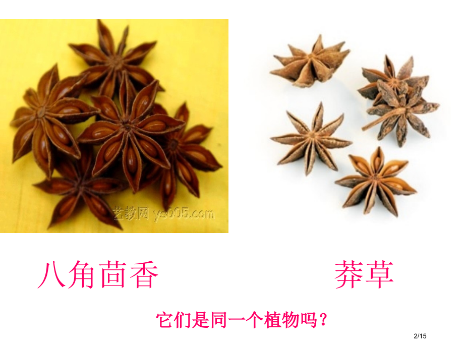 第二单元生物的分类济南版省公开课金奖全国赛课一等奖微课获奖PPT课件.pptx_第2页