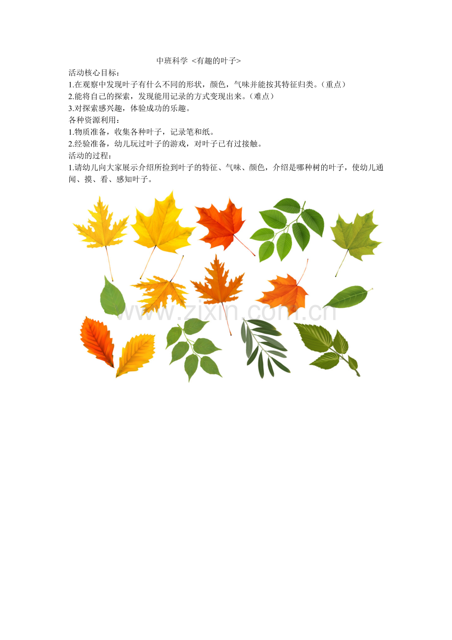 中班科学.doc_第1页