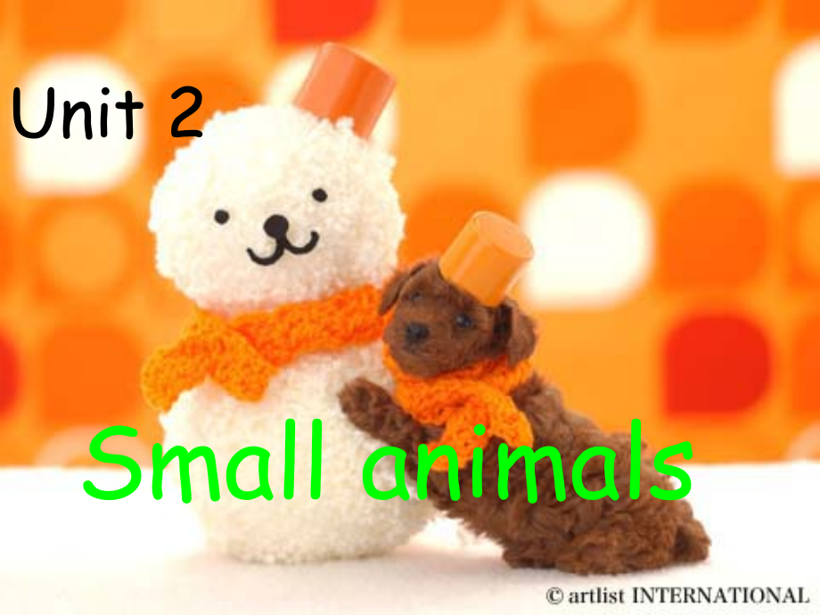 smallanimals.ppt_第1页