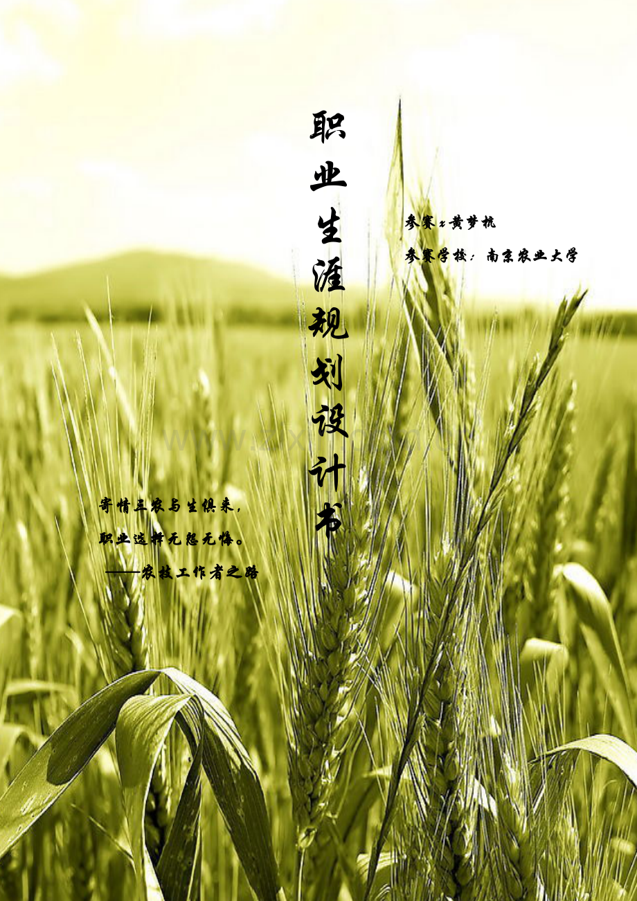 职业生涯规划设计书).docx_第1页