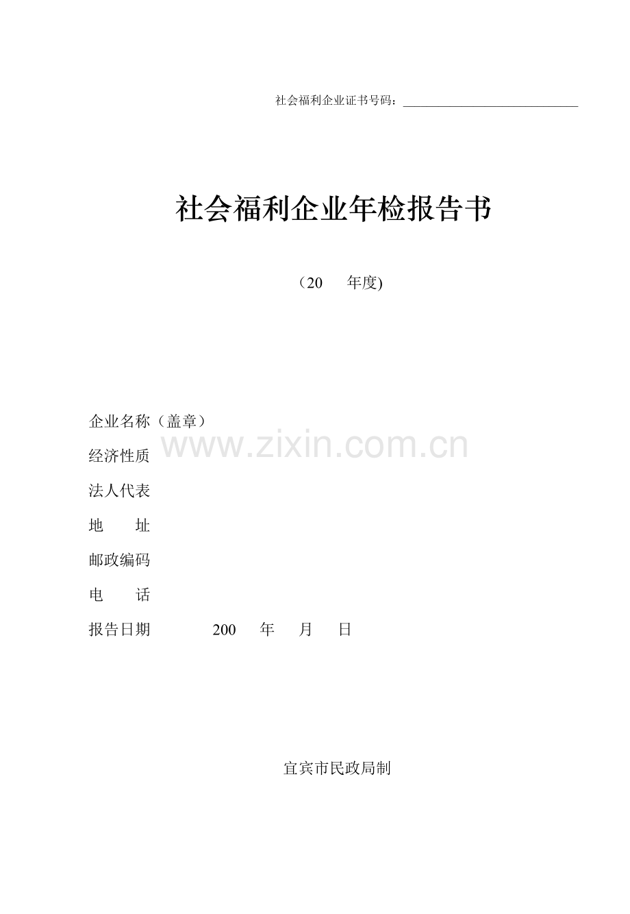 社会福利企业年检报告书.docx_第1页