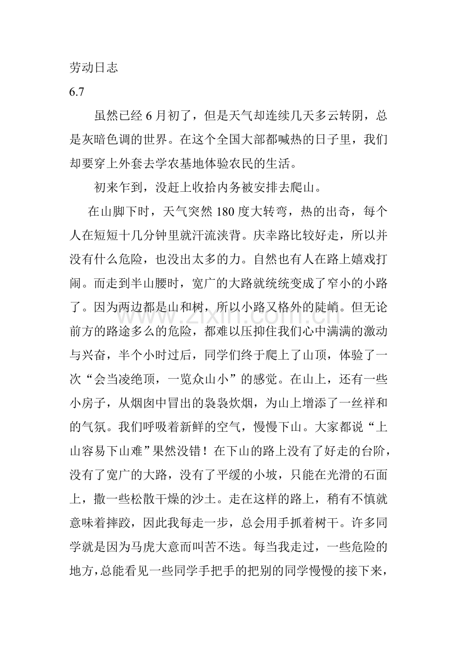 劳动日志.doc_第1页