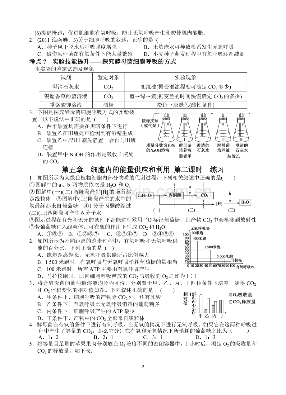 新人教版高中生物必修一-教案与练习-第五章-细胞内的能量供应和利用-第二课时.doc_第2页