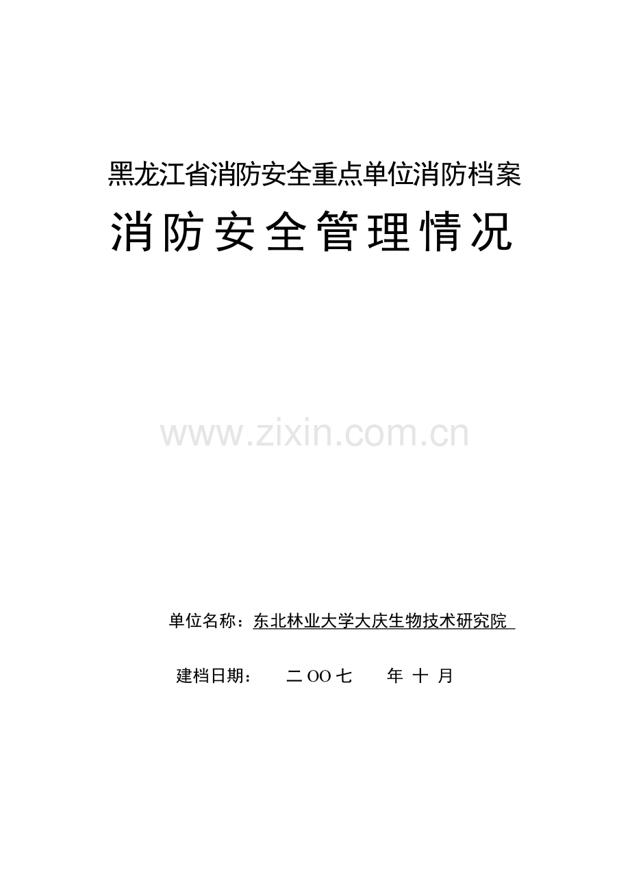 消防档案(省模式).docx_第2页
