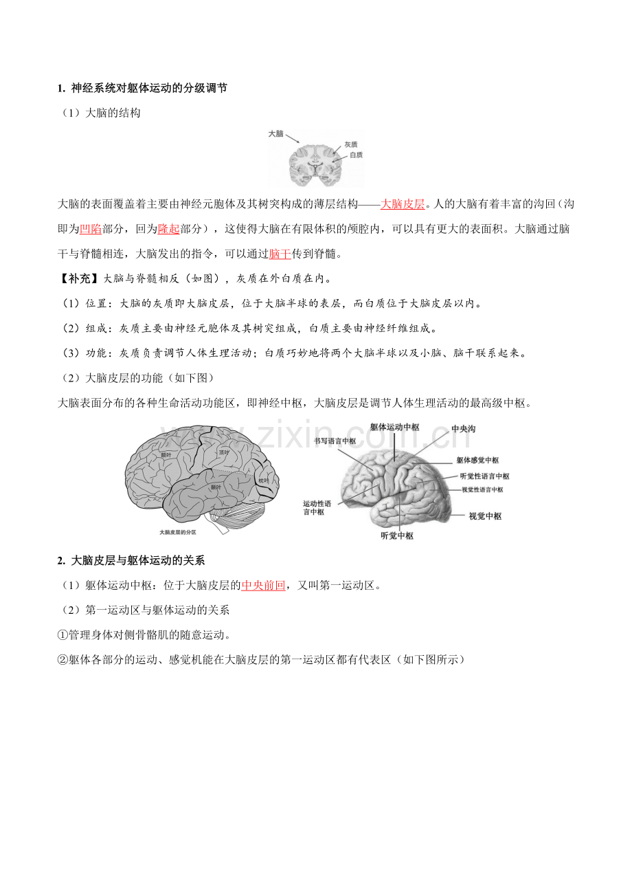 2-4-神经系统的分级调节(教师版).docx_第2页