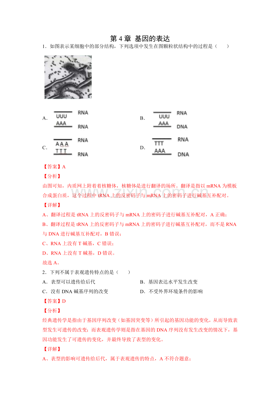 第4章-基因的表达(A卷夯实基础)(解析版).docx_第1页