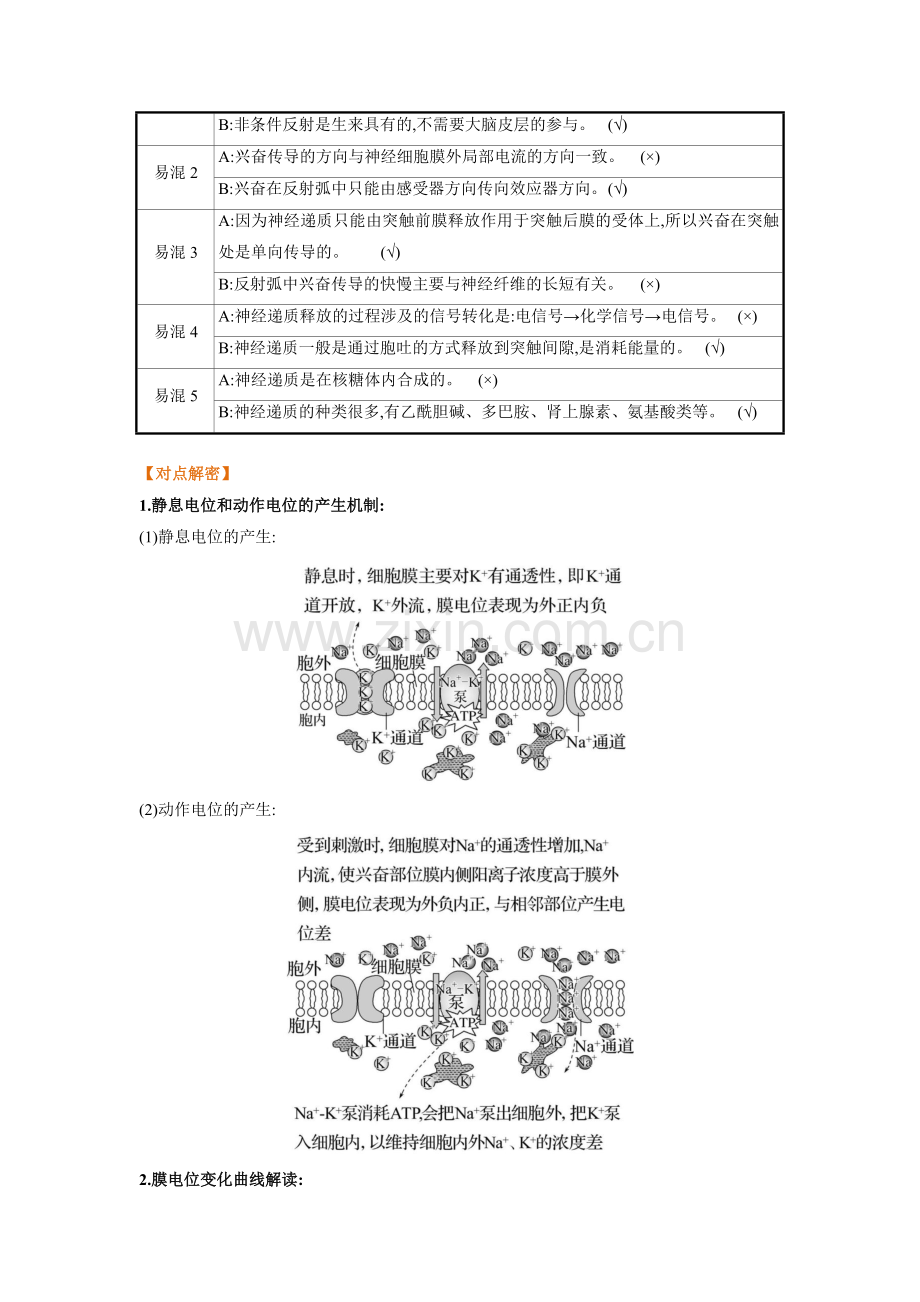 解密15-神经调节(讲义)(新教材).docx_第2页