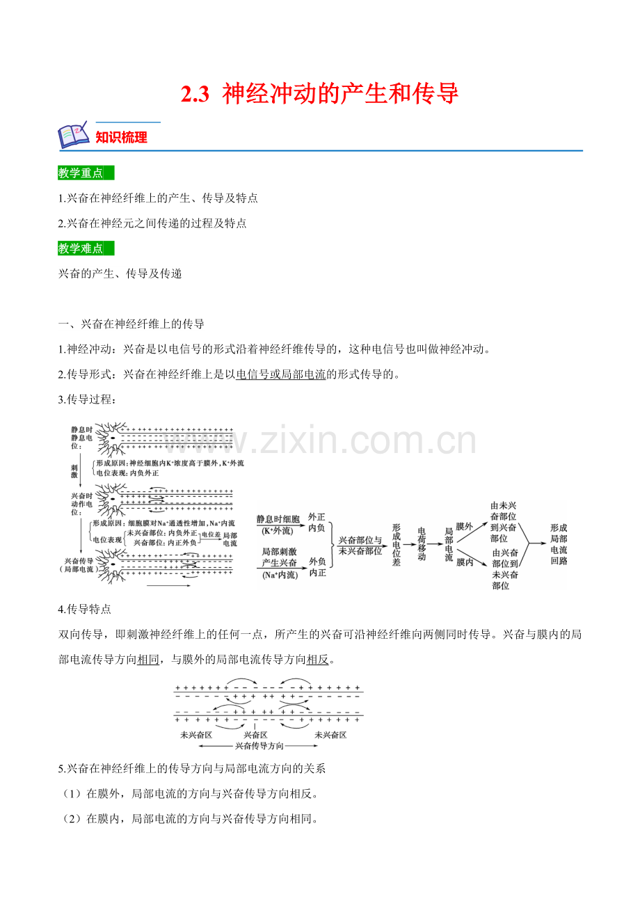 2-3-神经冲动的产生和传导高二生物课后培优分级练(原卷版).docx_第1页