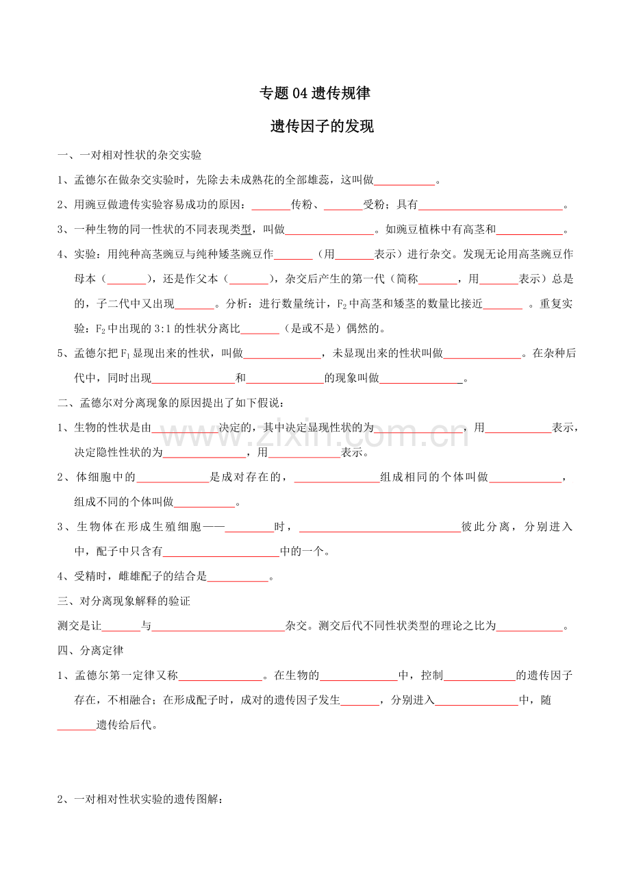 专题04-遗传规律(检测版).docx_第1页