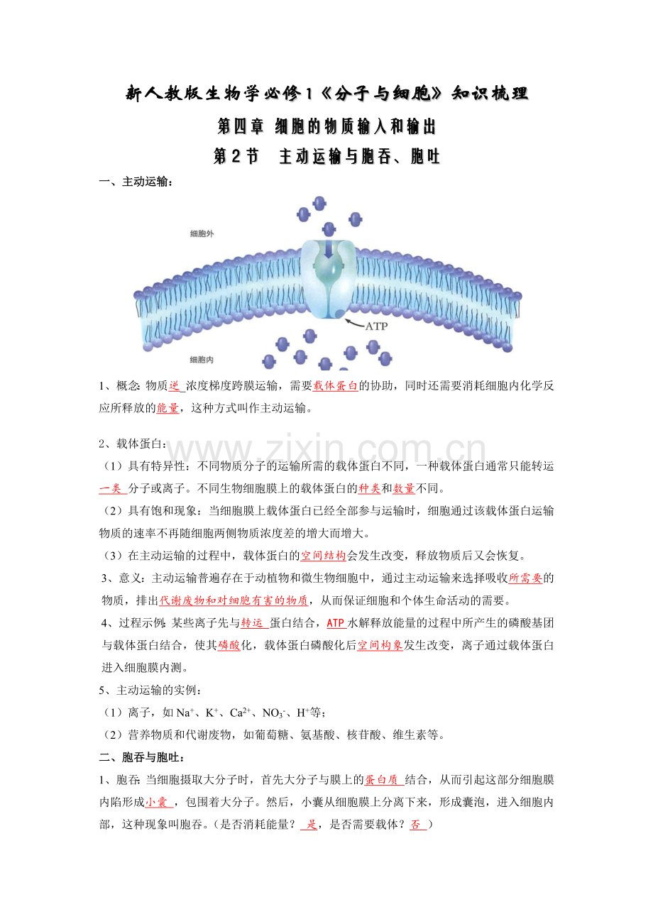 主动运输与胞吞、胞吐-高一生物上学期同步必备知识清单(人教版2019必修1)(解析版).docx_第1页