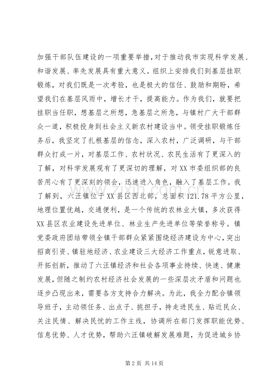 挂职干部工作总结4篇.docx_第2页