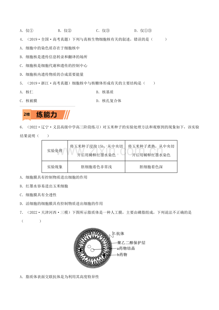 第04练-细胞膜和细胞核(新高考专用)(原卷版).docx_第2页