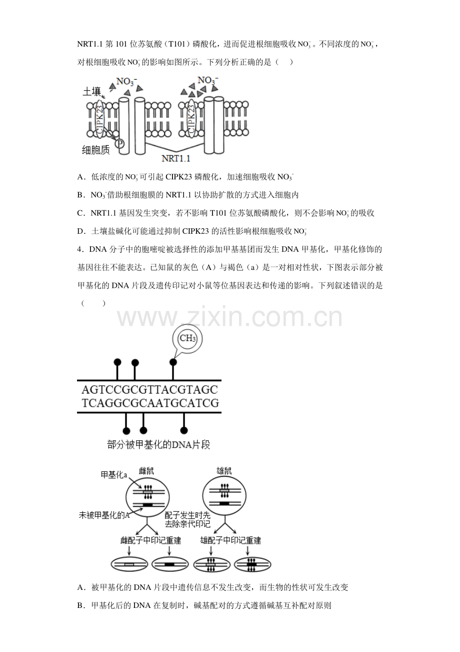 题型09--规范答题类-冲刺2023年高考生物热点题型押题专项训练(原卷版).docx_第2页