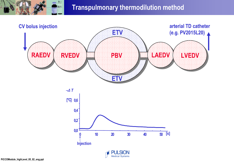 PiCCOplus详细介绍-英文版.ppt_第2页