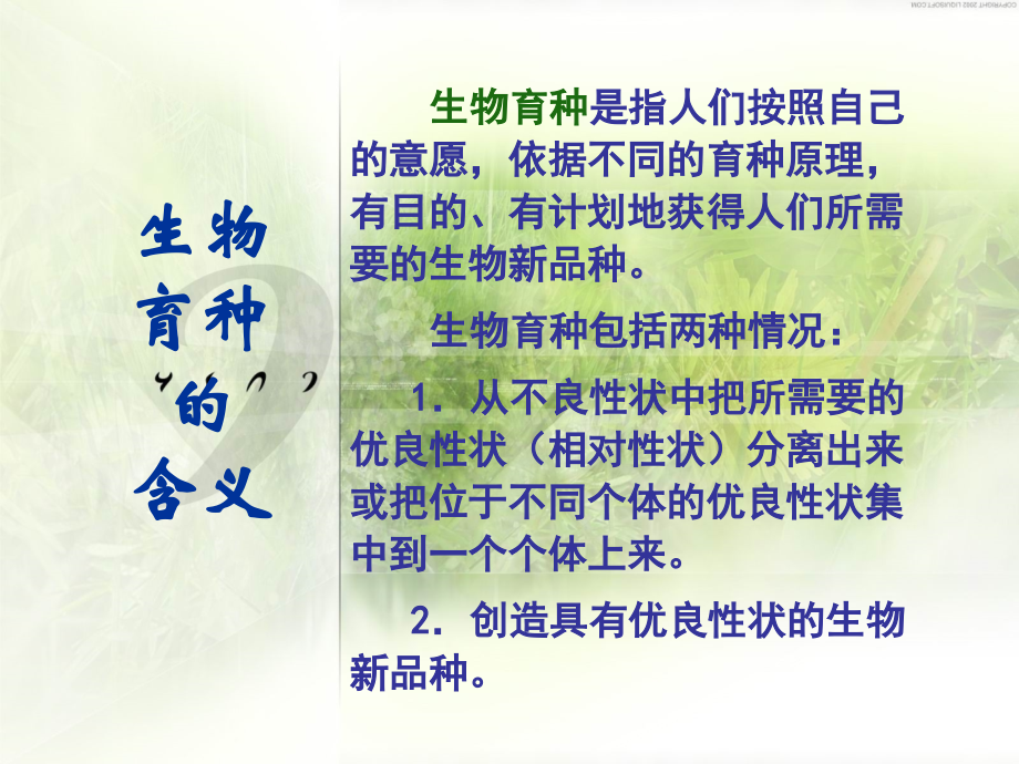 变异应用-育种.ppt_第2页