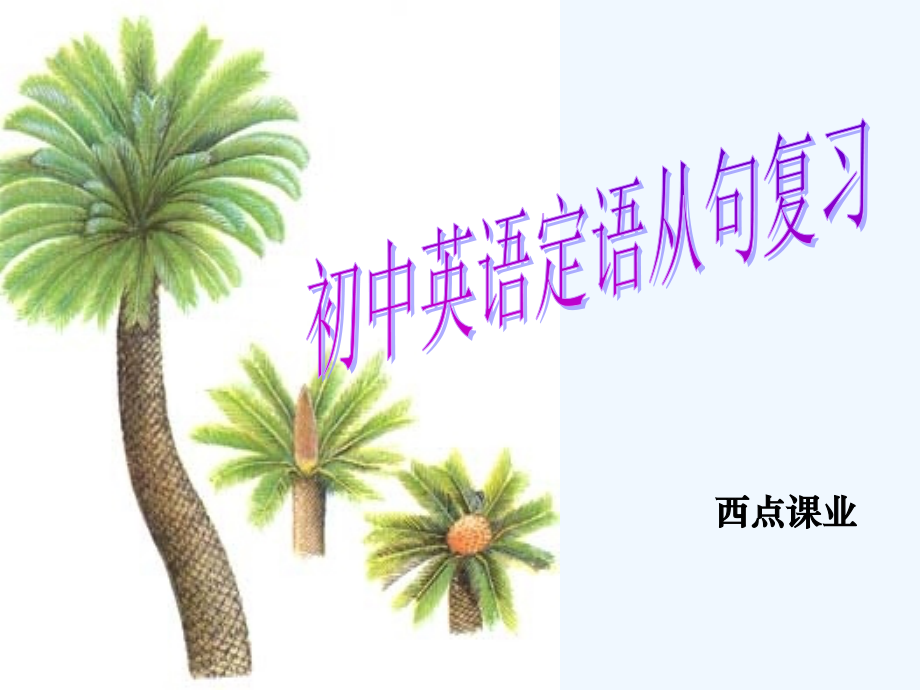 西点课业--中考英语定语从句难点点拨.ppt_第1页