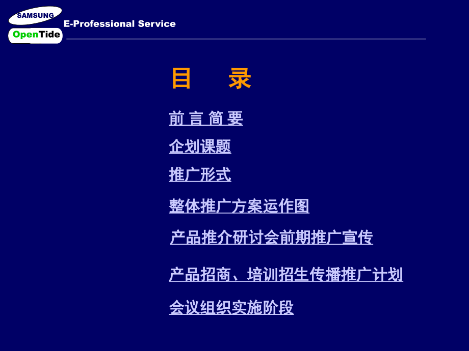 三星后后后方案.ppt_第2页