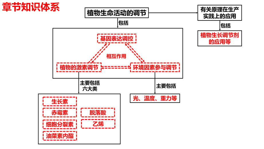 第29讲-其他植物激素、植物生长调节剂的应用及环境因素参与调节植物的生命活动(新教材).pptx_第2页
