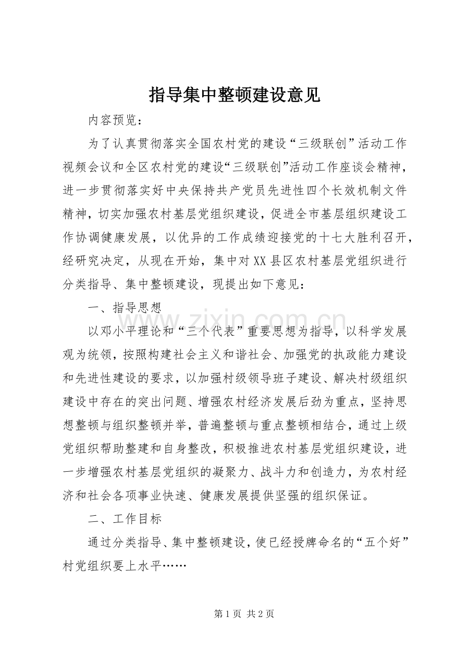 指导集中整顿建设意见.docx_第1页