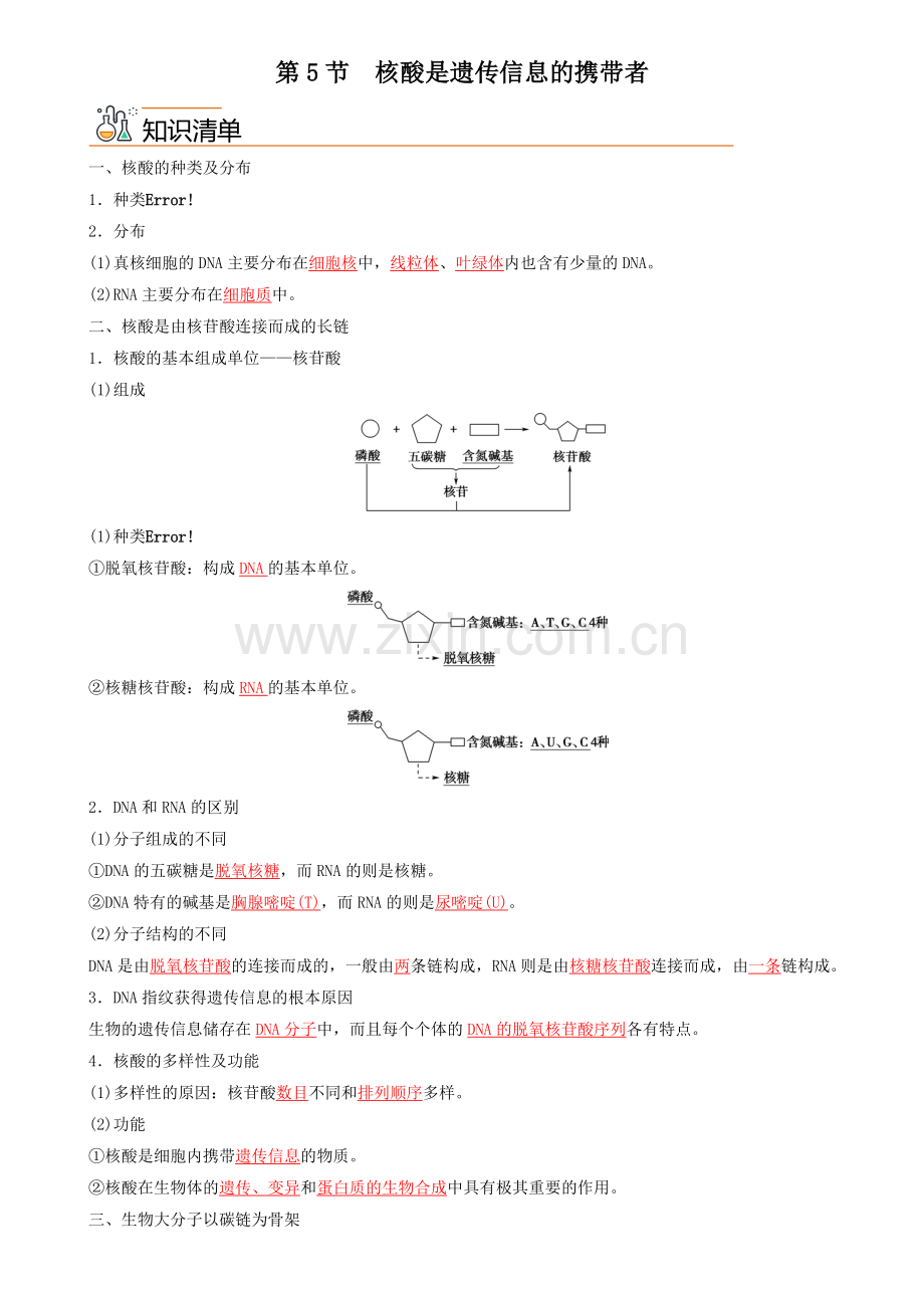 2-5-核酸是遗传信息的携带者(教师版).docx_第1页