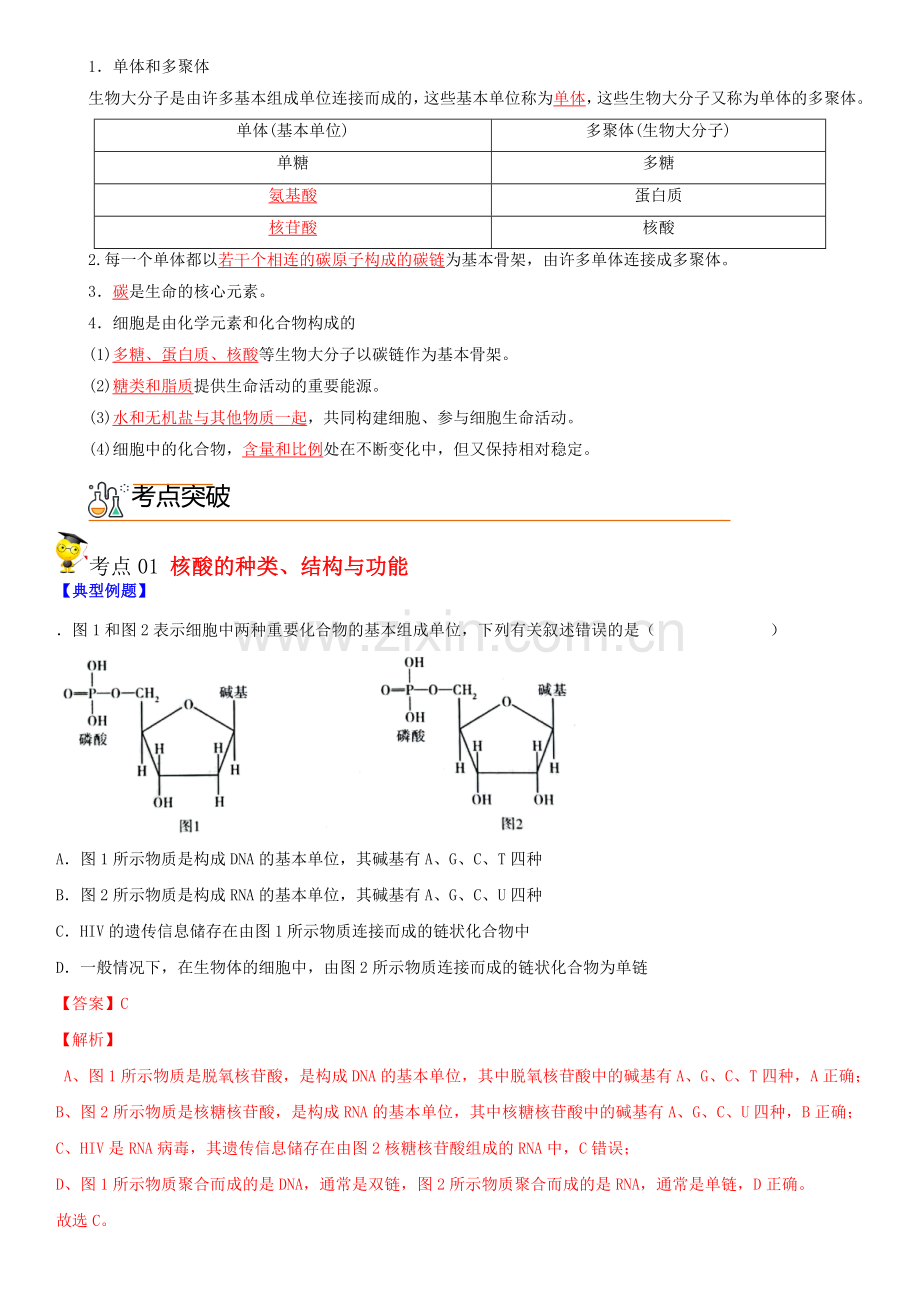 2-5-核酸是遗传信息的携带者(教师版).docx_第2页