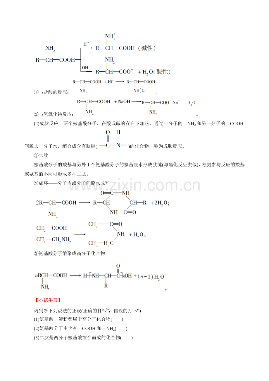 考点41--蛋白质(原卷版).docx_第2页