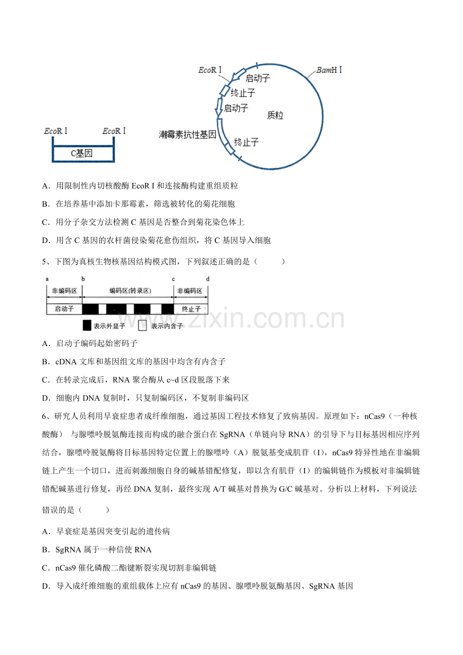第三章--基因工程(提升卷)高二生物同步测试卷(原卷版).docx_第2页