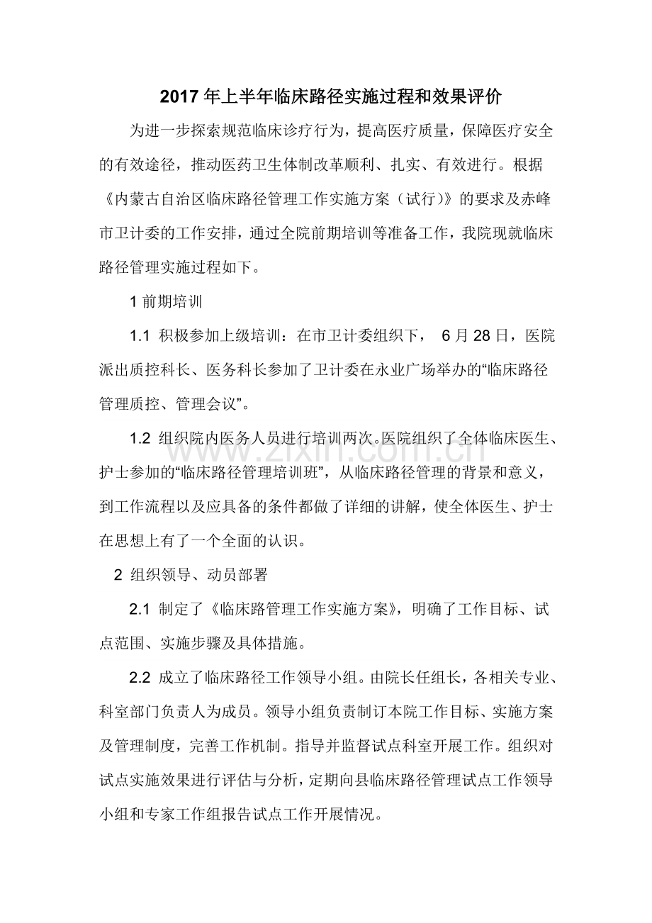 2017年上半年临床路径实施过程和效果评价.doc_第1页