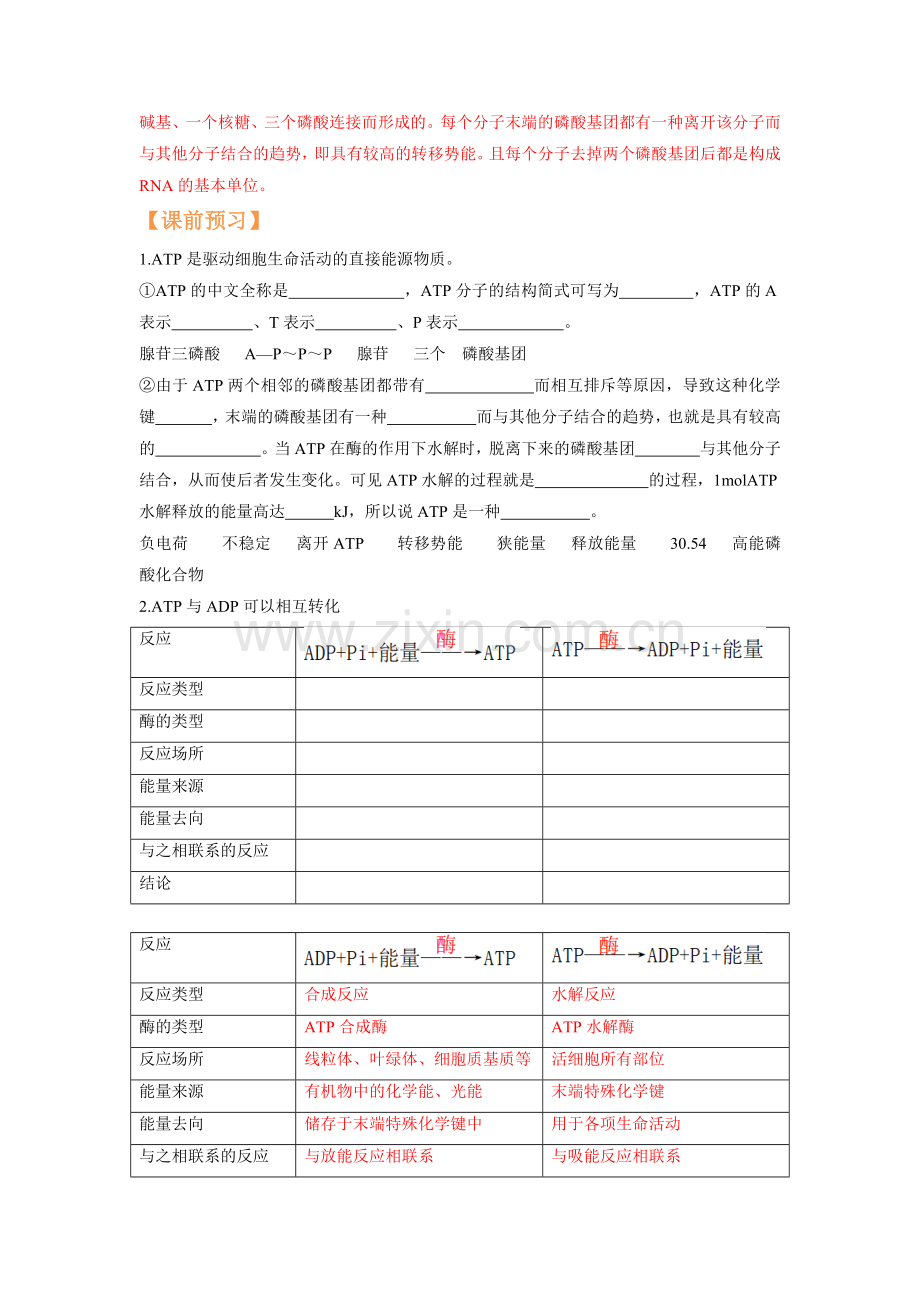第15讲-细胞的能量货币ATP(人教版2019必修1)(解析版).docx_第2页