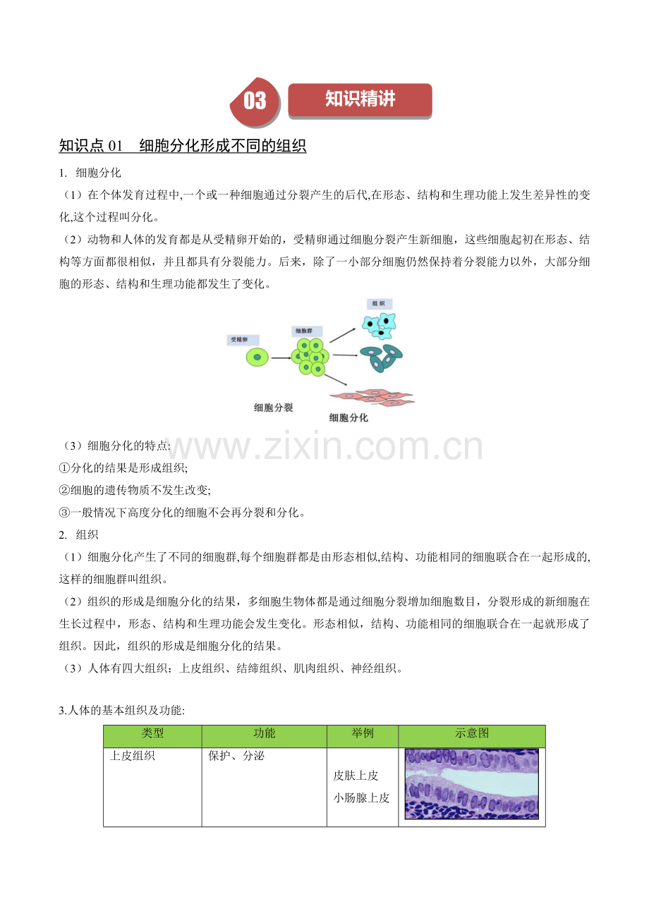 2-2-2-动物体的结构层次.docx_第2页