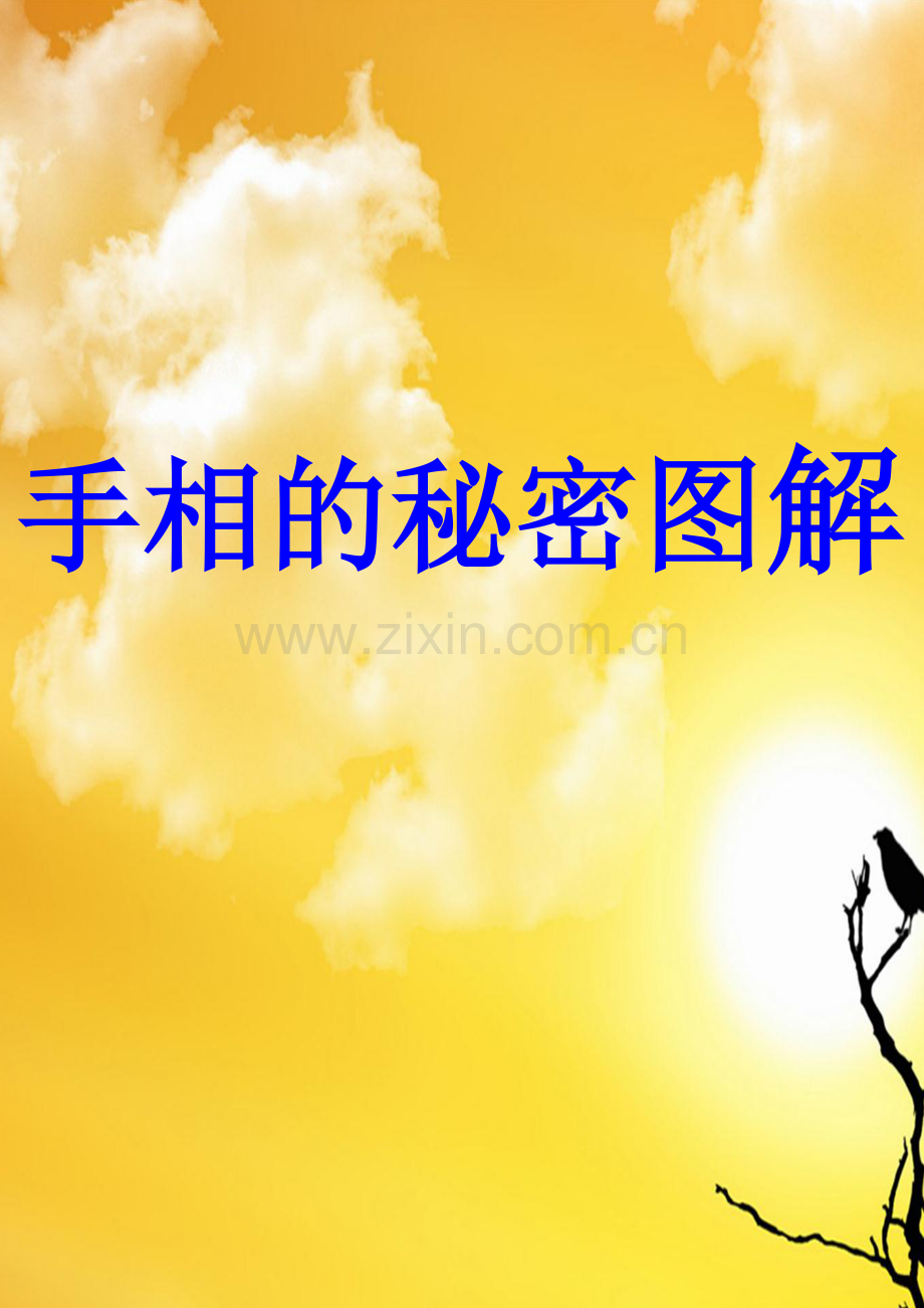 手相的秘密图解.doc_第1页