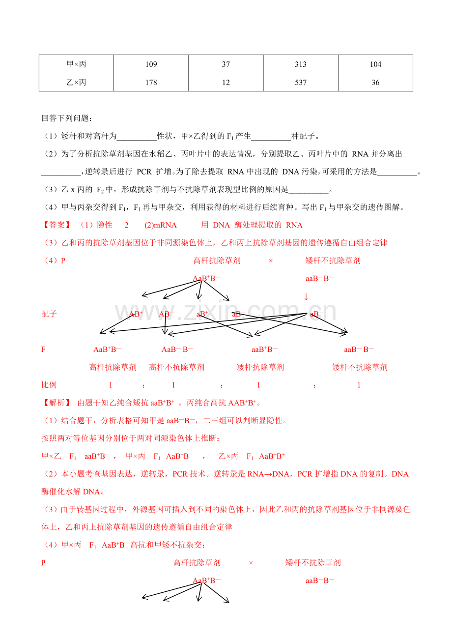 专题05-遗传规律-五年(2017-2021)高考生物真题分项汇编(解析版).doc_第2页