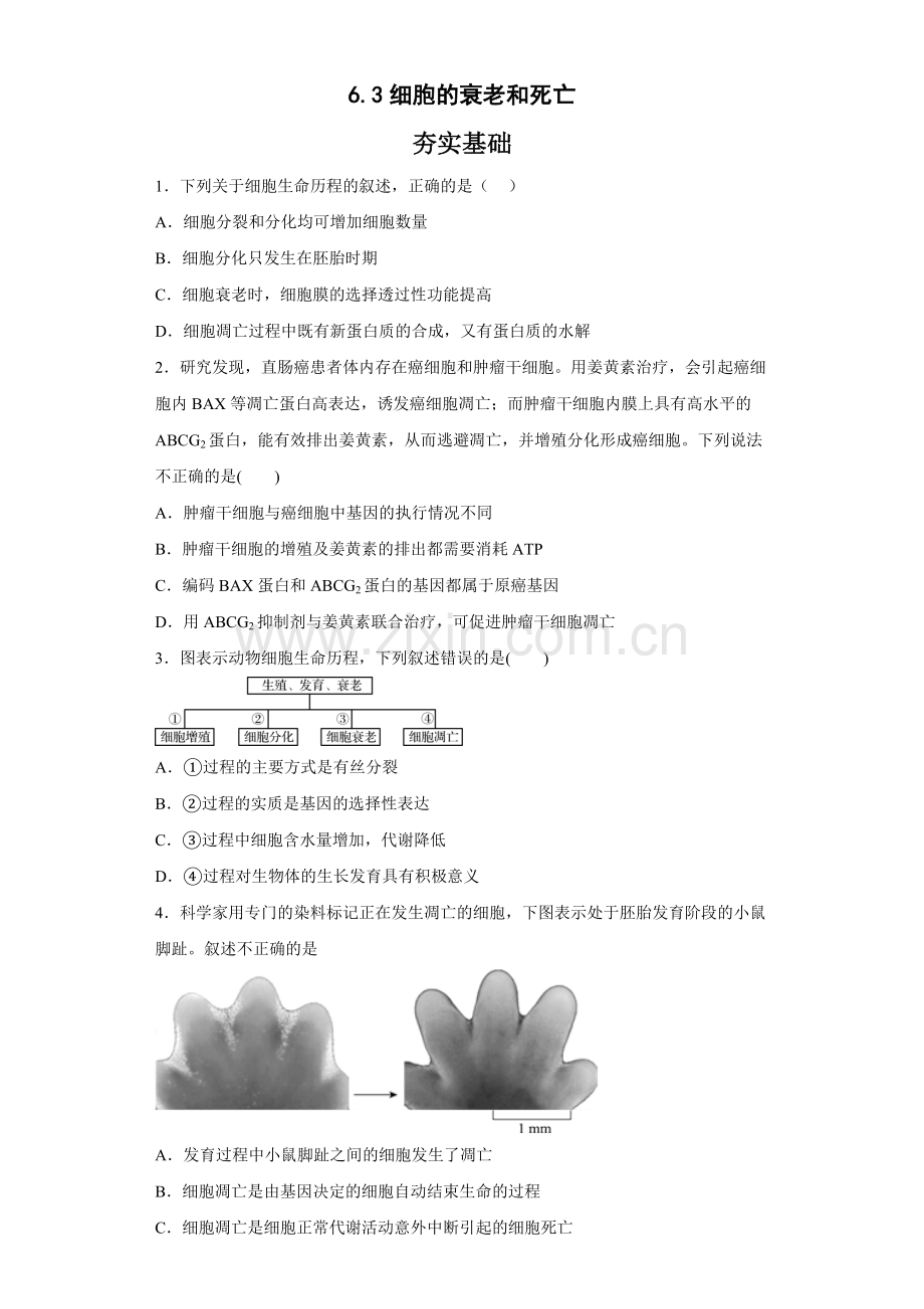 6-3-细胞的衰老和死亡-分层作业.docx_第1页