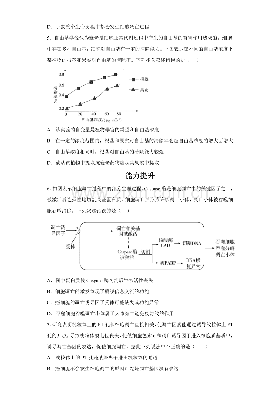 6-3-细胞的衰老和死亡-分层作业.docx_第2页