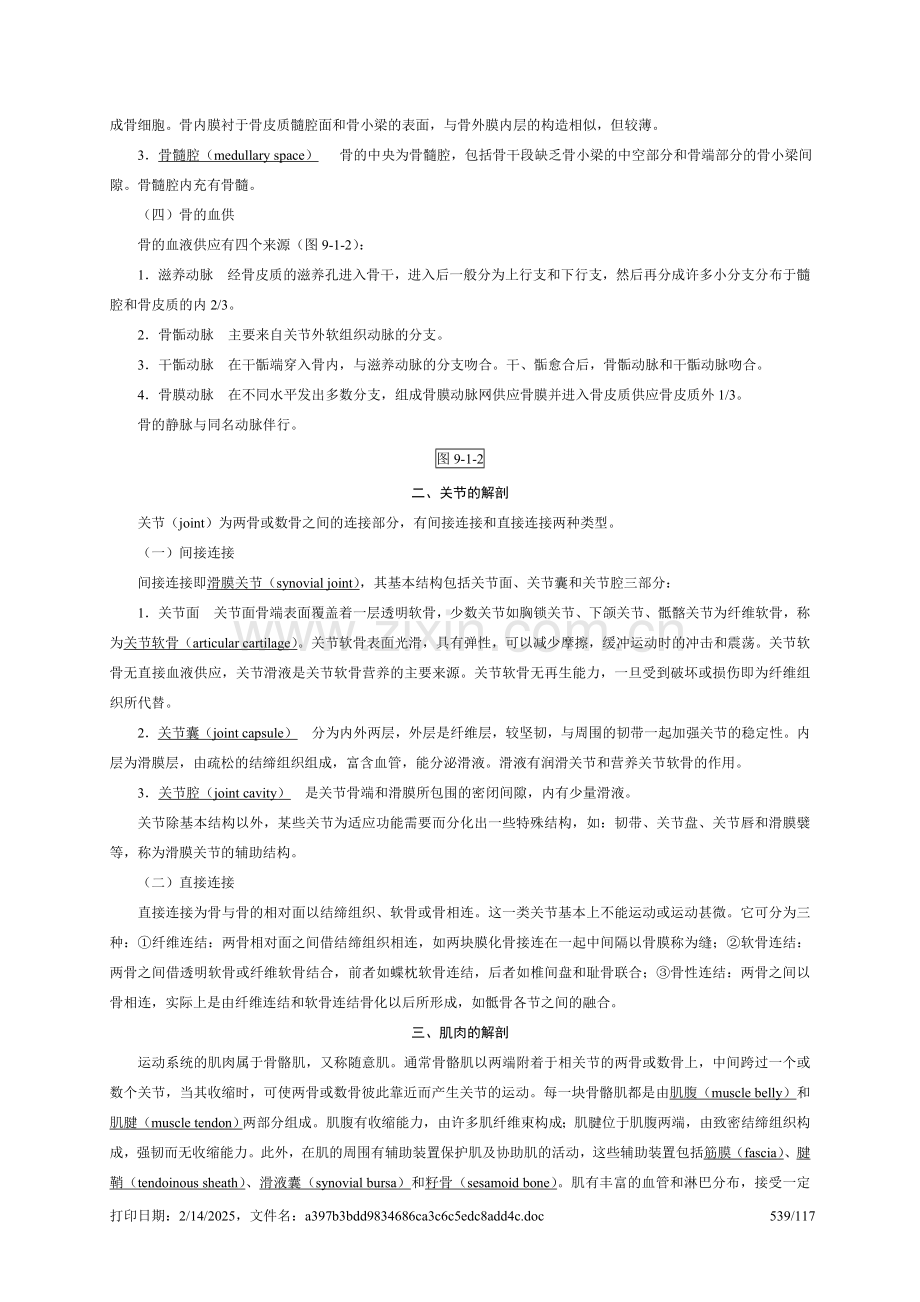 第九章--骨肌系统正文.doc_第2页