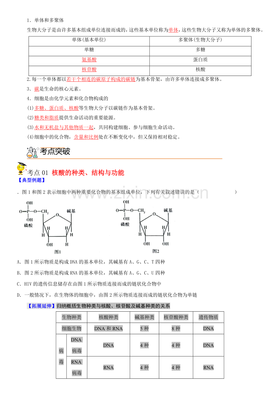 2-5-核酸是遗传信息的携带者(学生版).docx_第2页