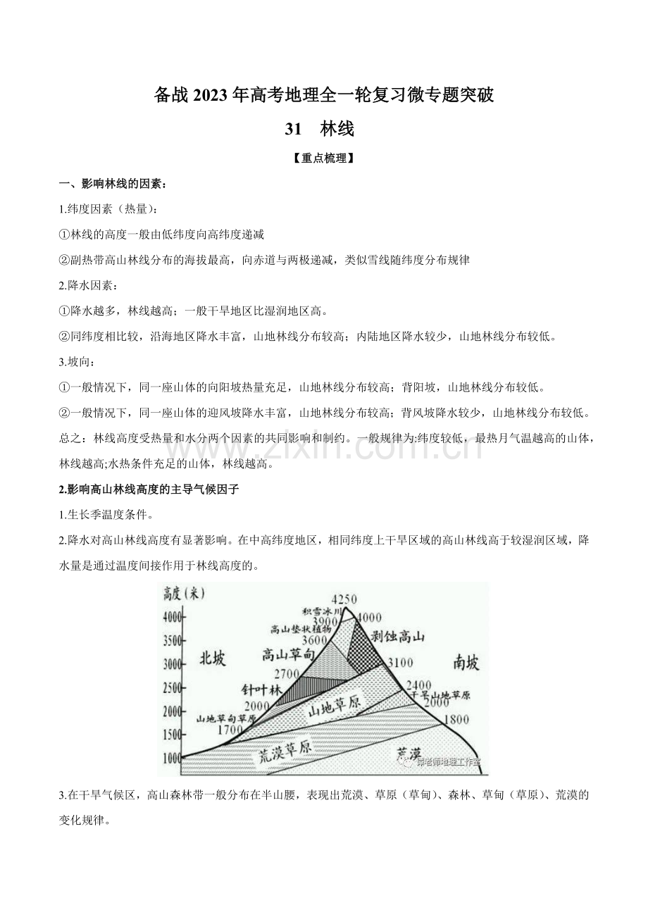 微专题31-林线(原卷版).docx_第1页