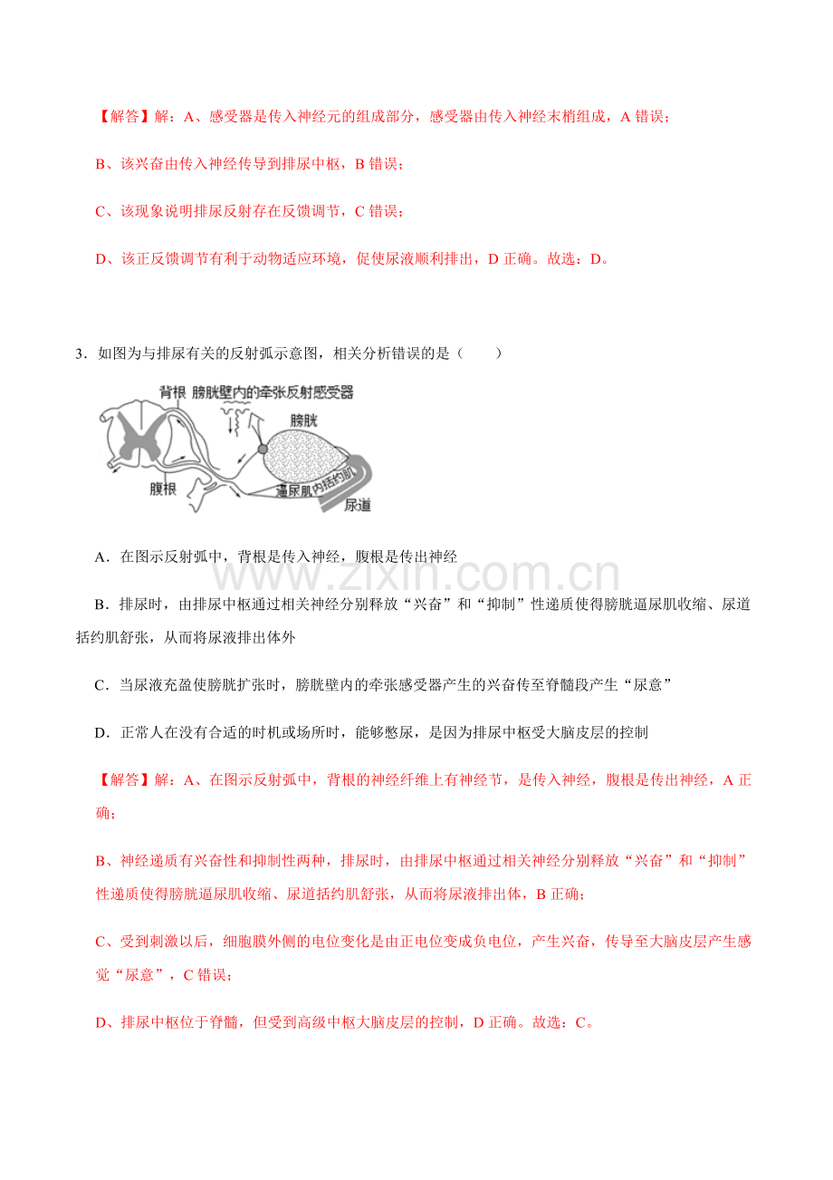 2-3-神经中枢调控机体的生命活动(分层练)-高二生物同步课堂(解析版).docx_第2页
